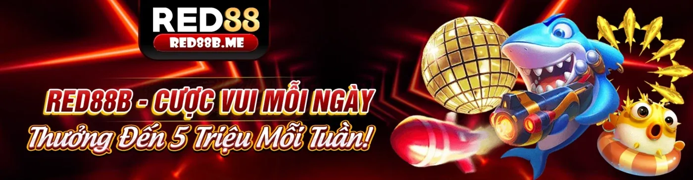 Chính sách bảo mật của ok368 đảm bảo an toàn dữ liệu người dùng